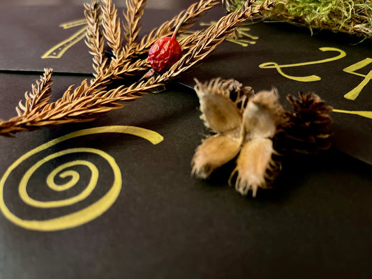 Gruseliger Adventskalender für Erwachsene